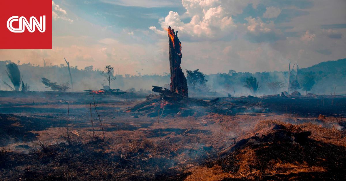 كاميرا CNN تأخذكم إلى قلب حرائق الأمازون.. شاهد الدمار